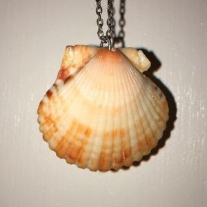 AUTHENTIC HAWAII SUNRISE SHELL necklace